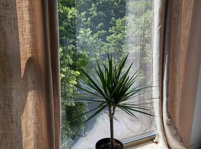 Appartement Wave Belona *